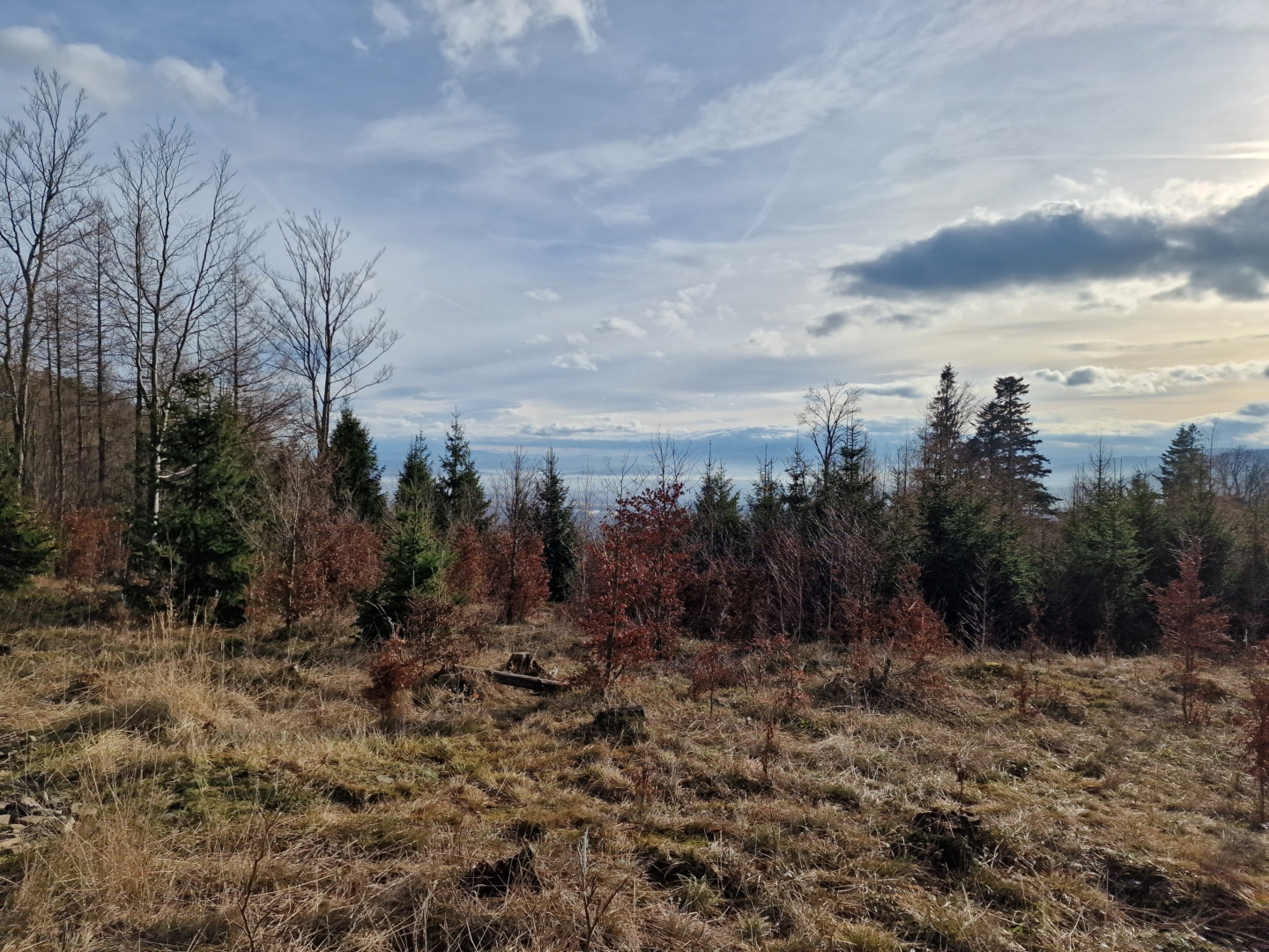 Widok na Babią, Pilsko, Romankę i Tatry