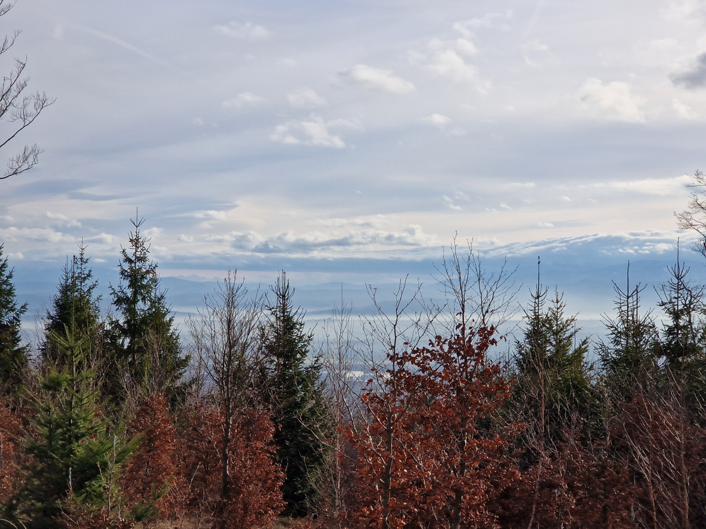 Widok na Tatry